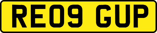 RE09GUP