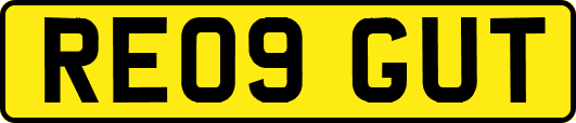 RE09GUT