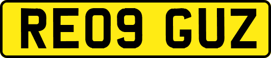 RE09GUZ