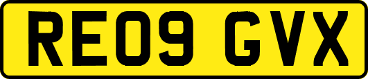 RE09GVX