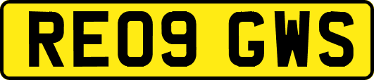 RE09GWS