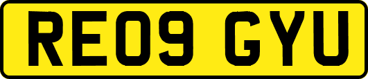 RE09GYU