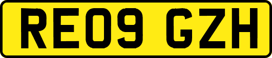 RE09GZH
