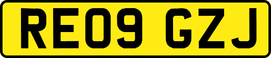 RE09GZJ