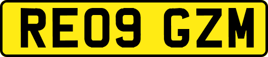 RE09GZM