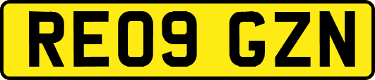 RE09GZN