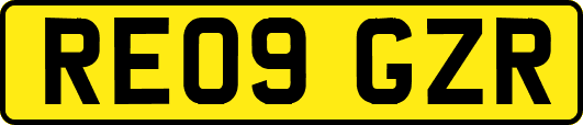 RE09GZR