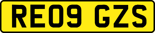 RE09GZS