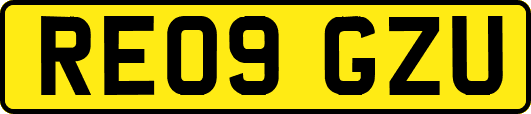 RE09GZU