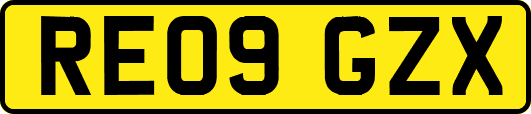 RE09GZX