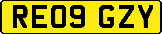 RE09GZY