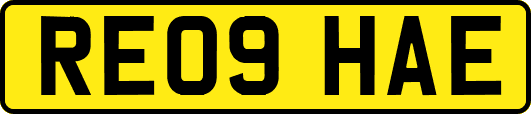 RE09HAE