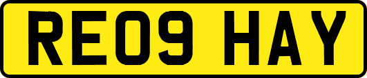 RE09HAY