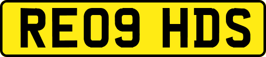 RE09HDS