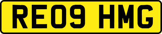 RE09HMG