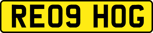 RE09HOG