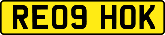 RE09HOK