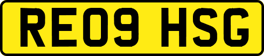 RE09HSG