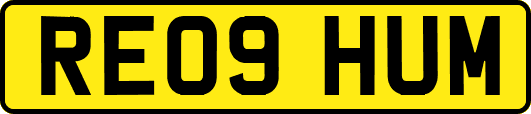 RE09HUM