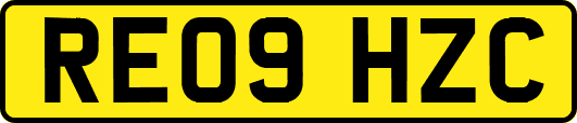 RE09HZC