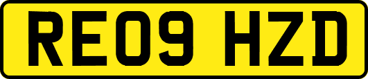 RE09HZD