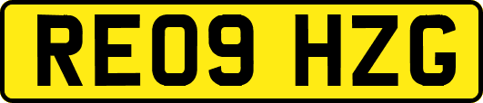 RE09HZG