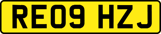 RE09HZJ