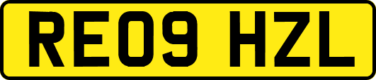 RE09HZL