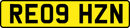 RE09HZN