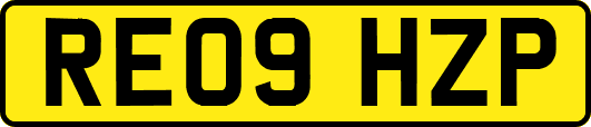RE09HZP