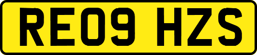 RE09HZS