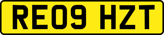 RE09HZT