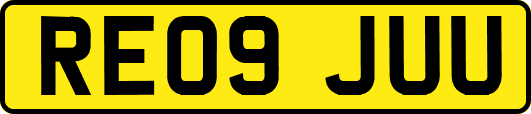 RE09JUU