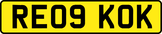 RE09KOK