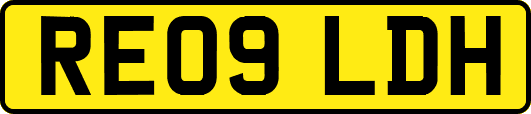 RE09LDH