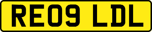 RE09LDL