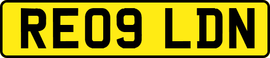 RE09LDN