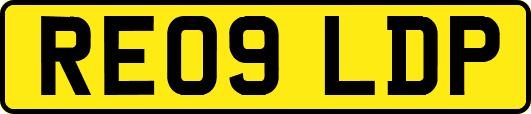RE09LDP