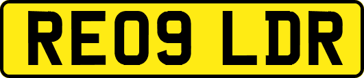 RE09LDR