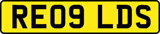 RE09LDS
