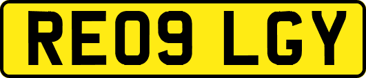 RE09LGY
