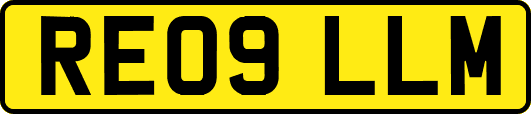 RE09LLM