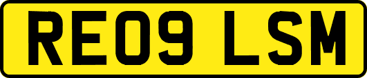 RE09LSM