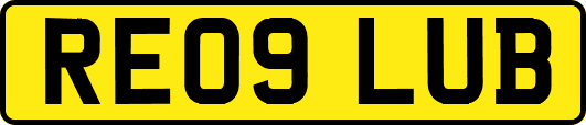 RE09LUB