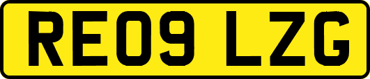 RE09LZG