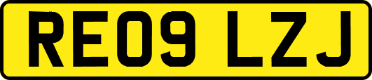 RE09LZJ