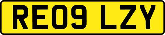 RE09LZY