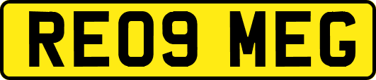 RE09MEG