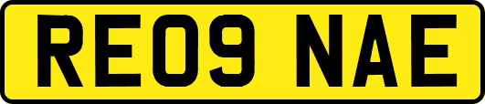 RE09NAE