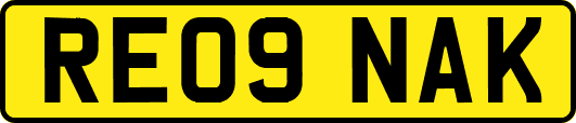 RE09NAK